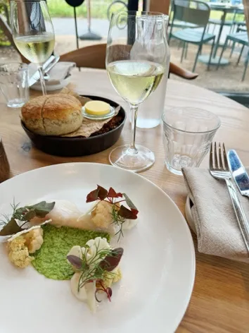 Fiskeret på grøn puré med et glas hvidvin