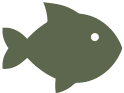 fisk